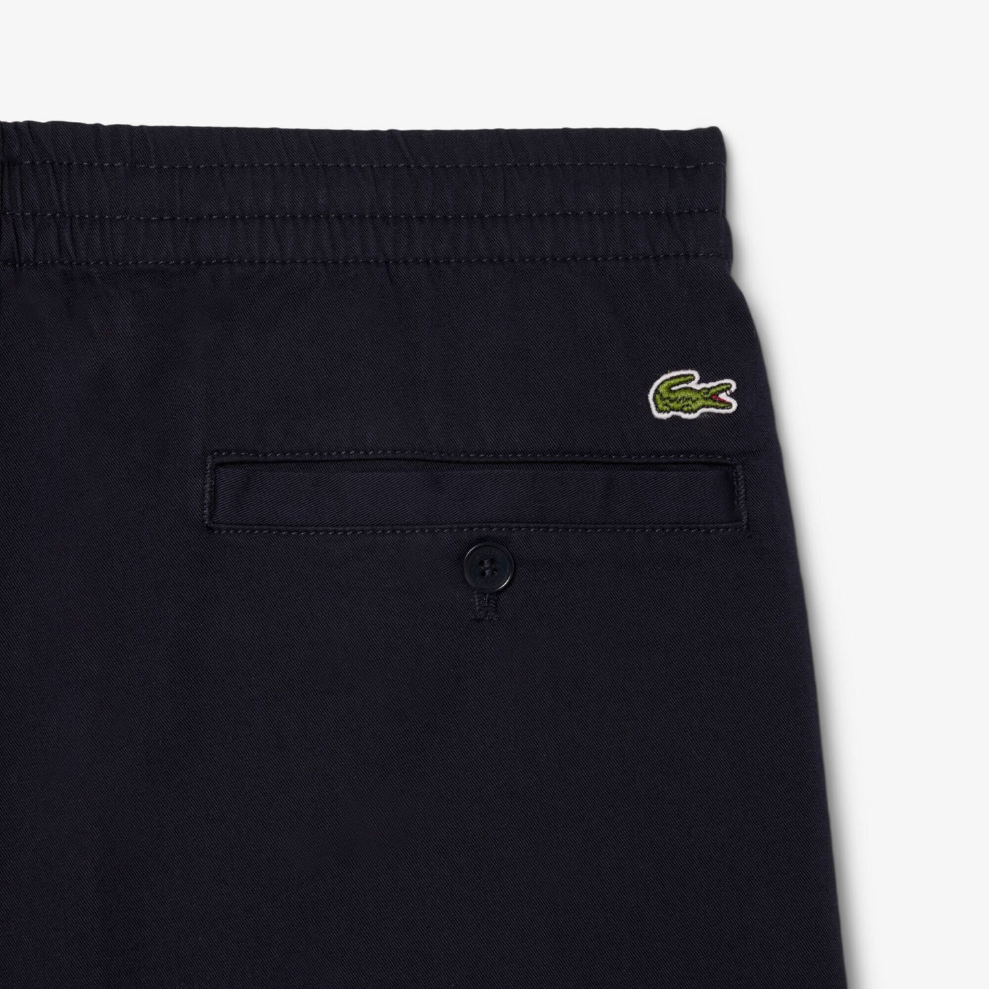 Regular Fit Cotton Gabardine Chino Pants