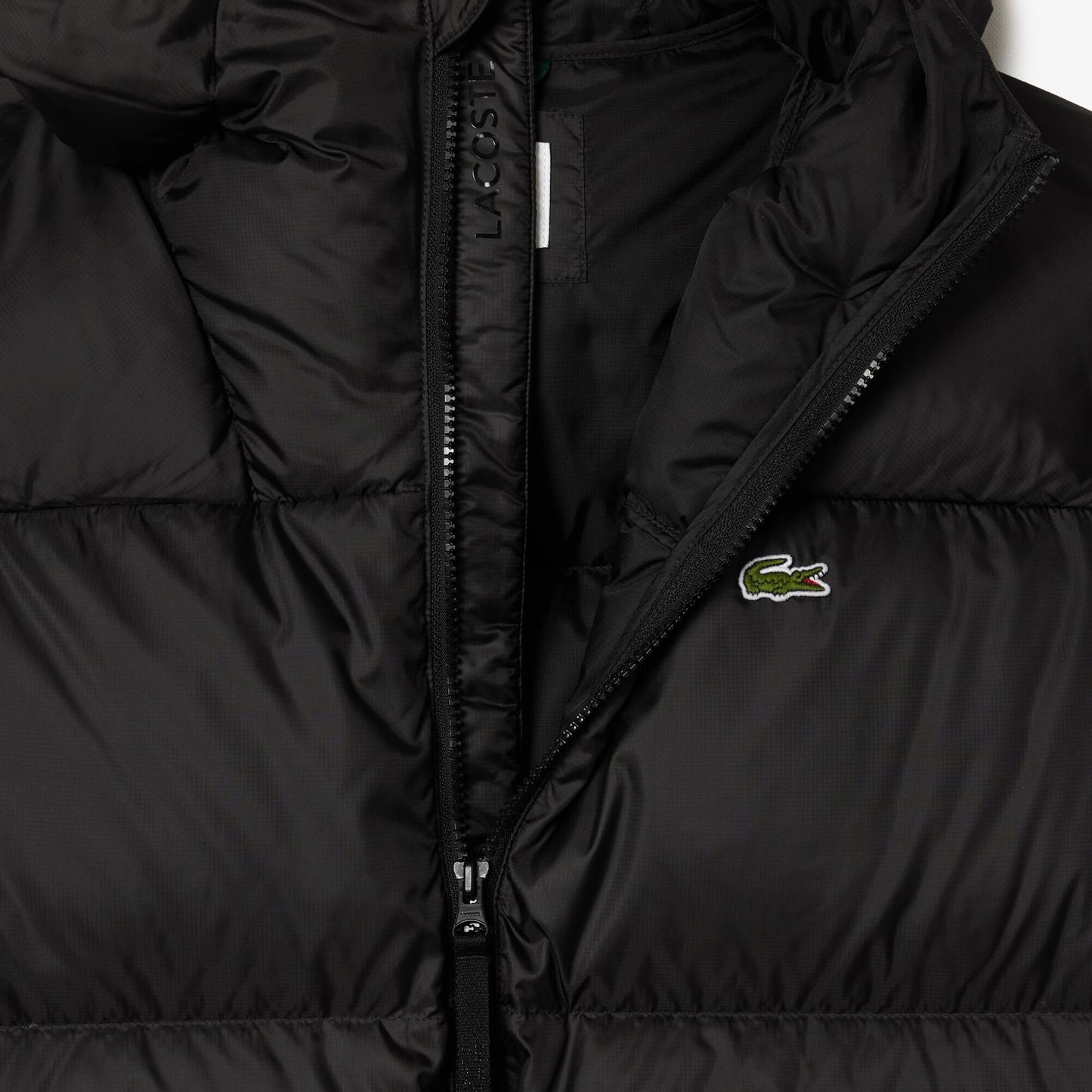 Short Water-Repellent Hooded Puffed Jacket
