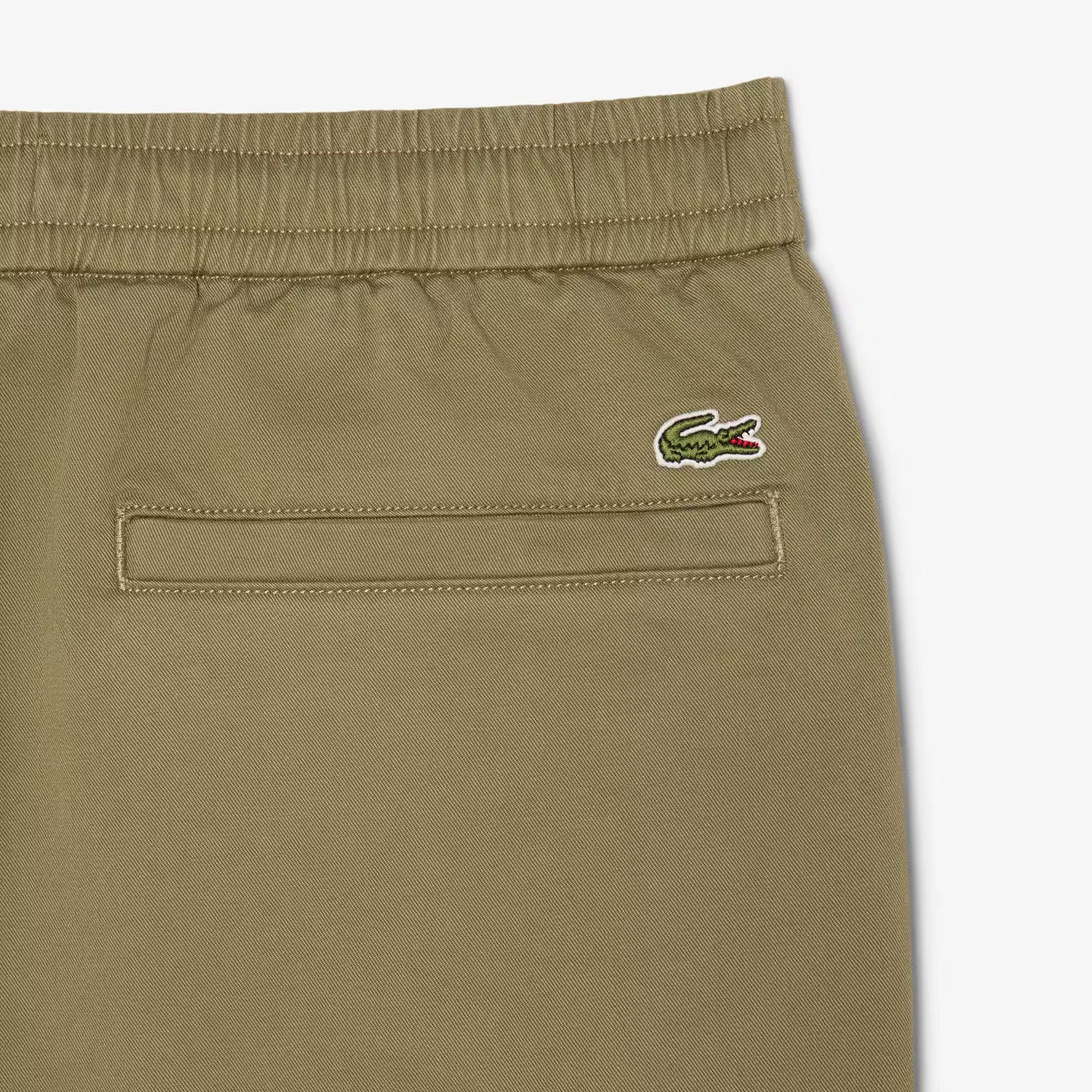 Regular Fit Cotton Twill Chino Pants 2