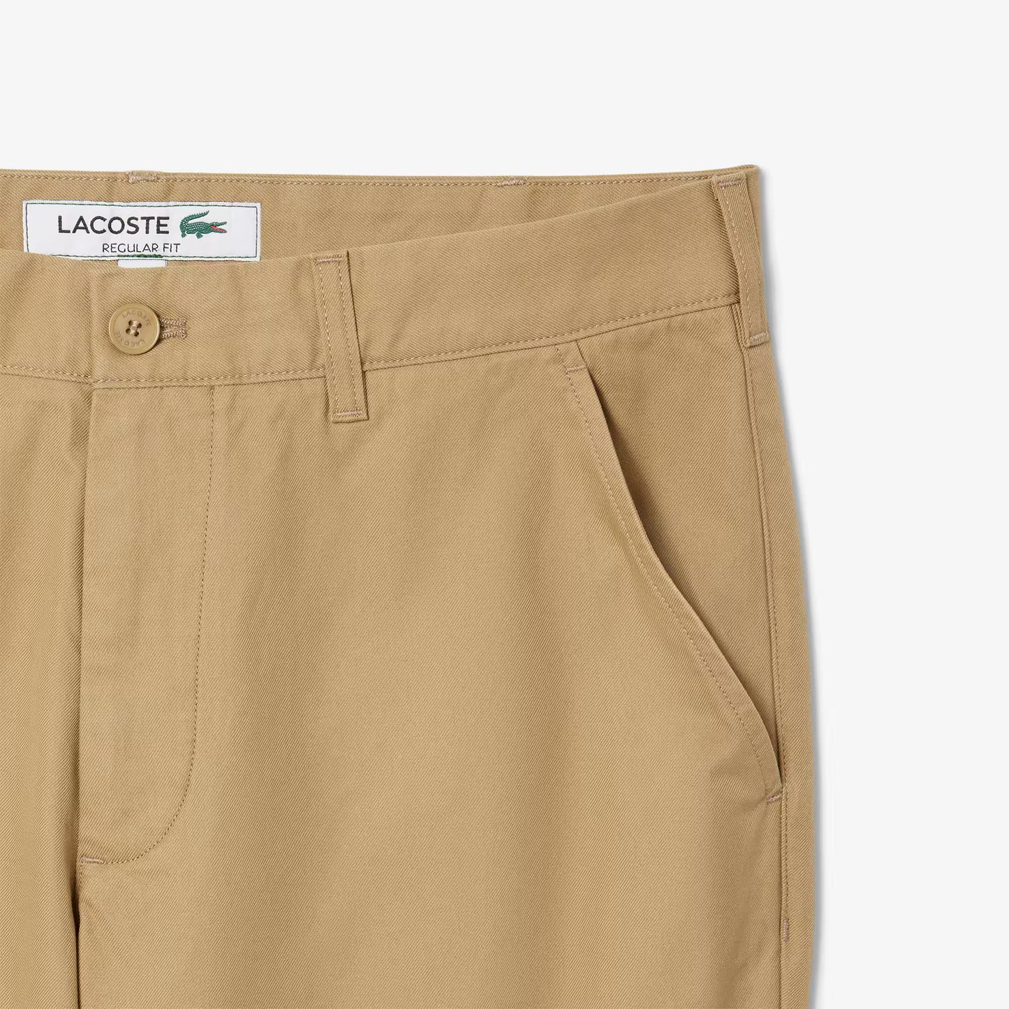 Regular Fit Cotton Chino Pants