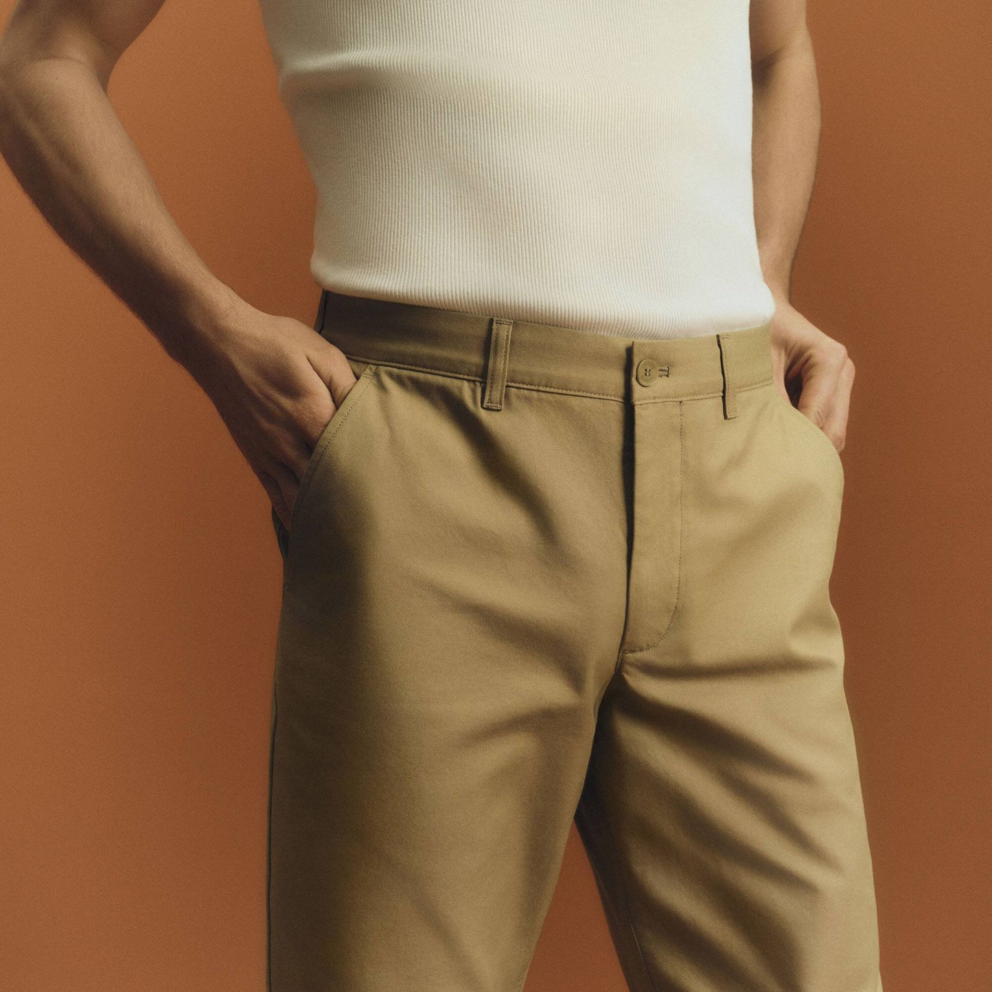 Regular Fit Cotton Chino Pants